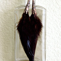 Brown Feather Earrings
