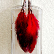 Red Feather Earrings