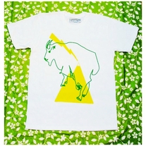 LIGHTENING & THE MOUNTAIN GOAT