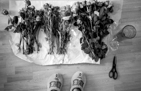 change of flowers