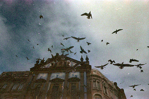 don´t be afraid (S)