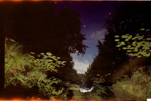 reflect (S)