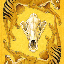 Smb-thylacinescard_medium