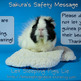 Sakurasafety0399_small