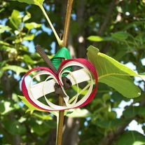 100_0570_medium