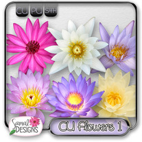 CU Flowers 1
