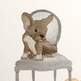 Illustrated Canine Note Cards - French Bulldog - Set of 5 Blank Cards - Thumbnail 1