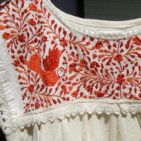 The Chickadee in Naranja