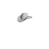 cowboys