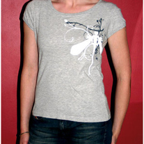 Dragonflytgray_noinfo_medium
