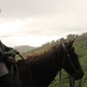 Horse & Rider: A Journey Towards Freedom - Thumbnail 1