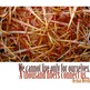 Thousand-fibers-connect-web_small