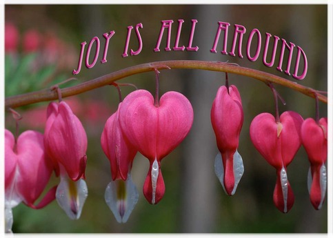 joy is all around