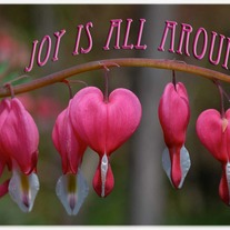 joy is all around
