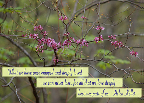 all that we love