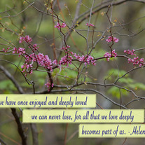all that we love