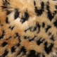 Leopard_20fur_small