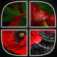 Bloody Mary - Kit - Thumbnail 2