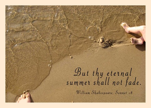 eternal summer