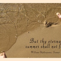 eternal summer
