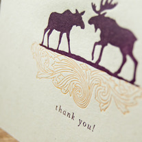 Moose Thank You Cards