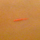 Rebel Eye Light - Thumbnail 1