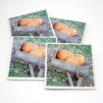 Pumpkin Tile Coasters (1)