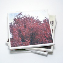Red Leaves Tile Coasters