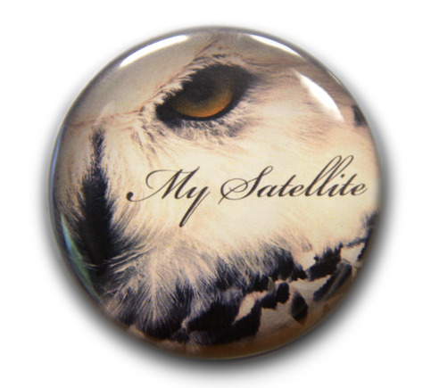 Owl_20eye_20pin_20copy_20sm_large