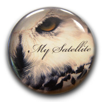 Owl Button