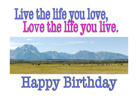 Love Life Birthday Greeting : greeting card meets gift-able print