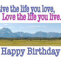 Love Life Birthday Greeting : greeting card meets gift-able print
