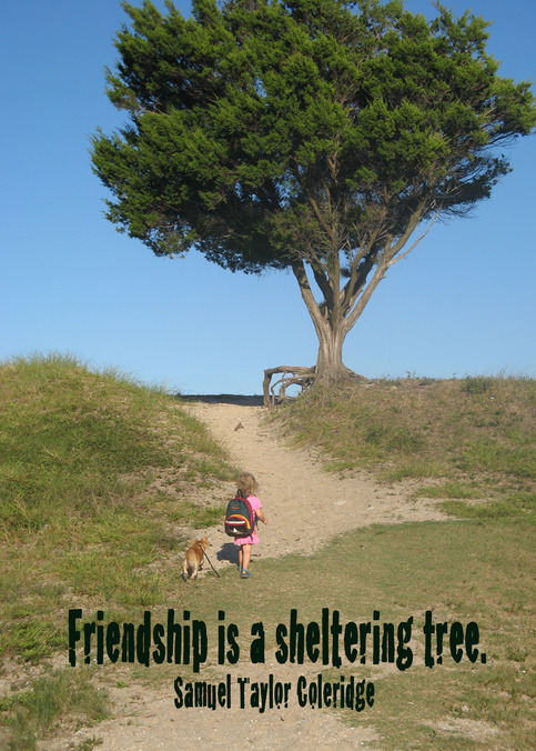 Friendship : greeting card meets gift-able print