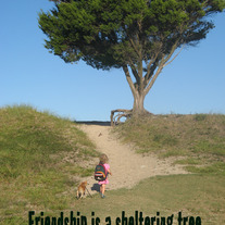 Friendship : greeting card meets gift-able print