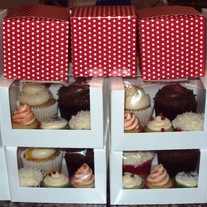 Christmas Sampler Pack