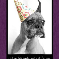Amelia Greetings- Happy Birthday!