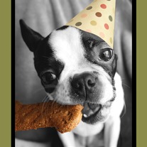 Amelia Greetings- Happy Birthday!