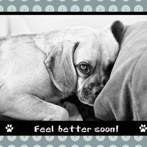 Amelia Greetings- Feel better soon!