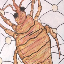 Save the Bed Bugs! #1 Comic (anthology) art zine