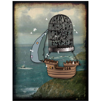 A Pirate Dreams of Flying