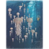 The Jellies