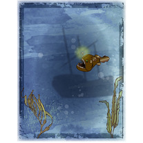 The Shipwreck