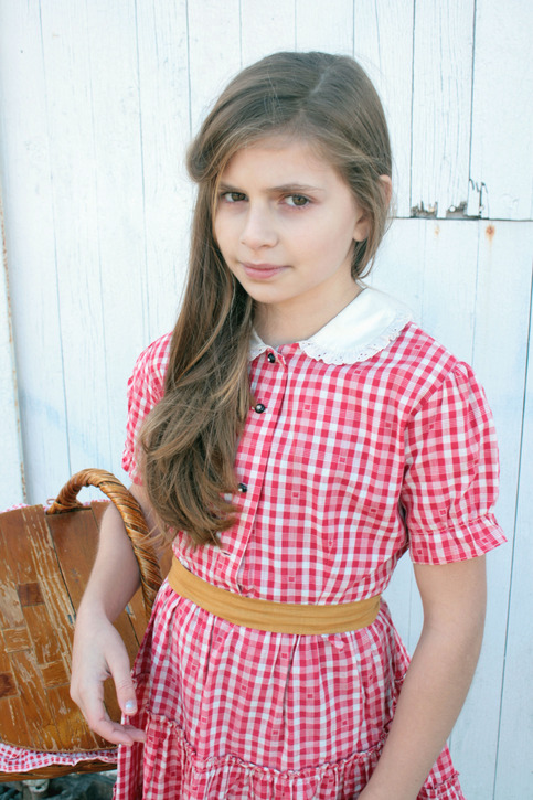 Vintage Red & White Gingham Dress