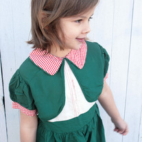 Dainty Green & Gigham Collar Dress