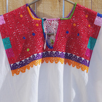 The Zapotec (Tulip 1 & 2)