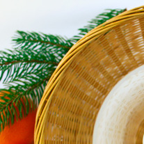 Winter Green and Orange - Choice of Prints