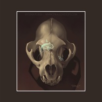Matted "Peek-a-boo" Print