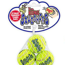 Tennis Ball with Squeakers