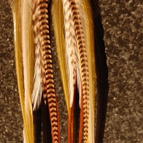 Feather Earrings 89