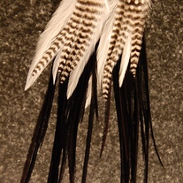 Feather Earrings 97